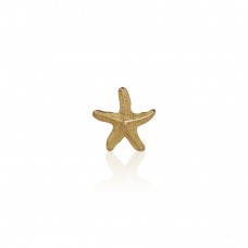 A010 - Starfish