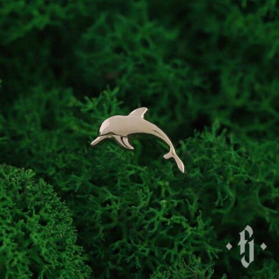 A001 - Dolphin - Inverted