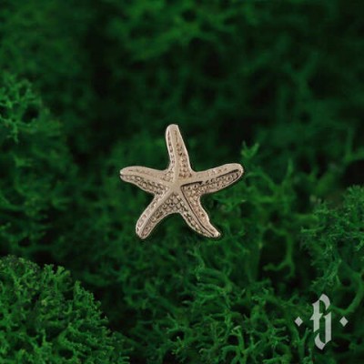 A020 - Starfish